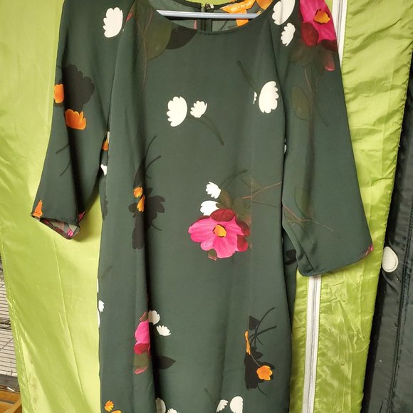 Dresses - Picture 6 of 8